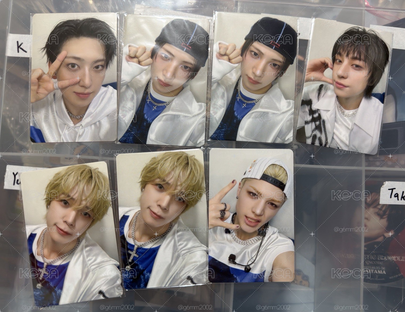 BTL Fan showcase live 哈