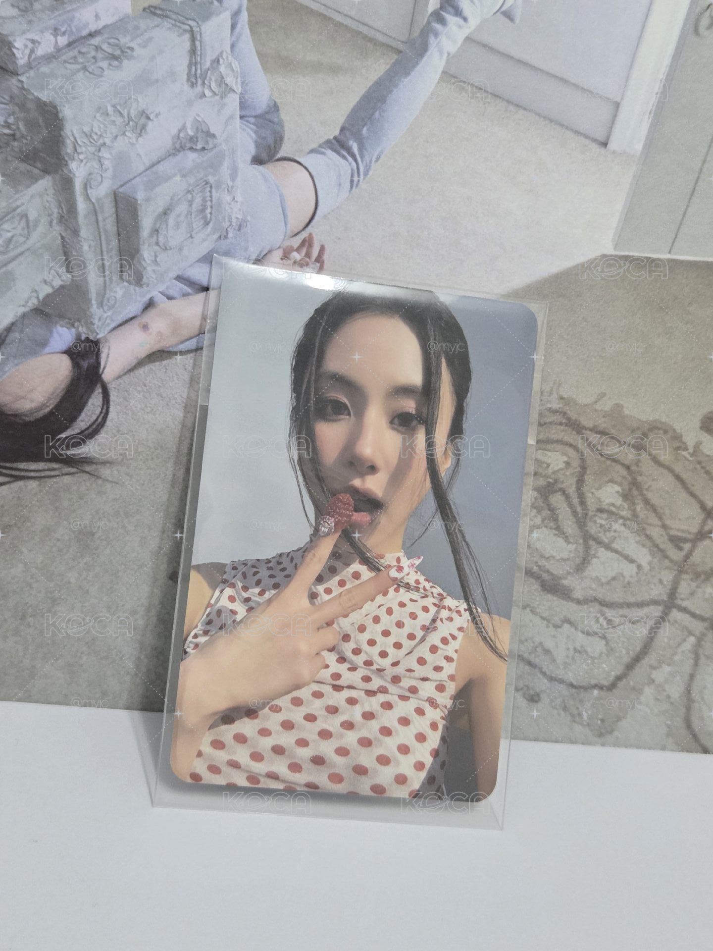 彩瑛專卡（韓專）