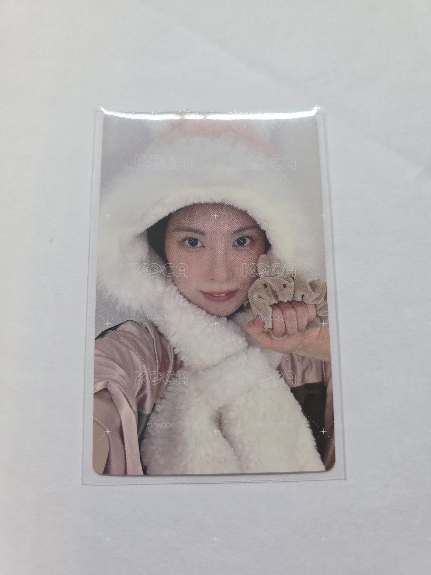 溫馨兔子裴
