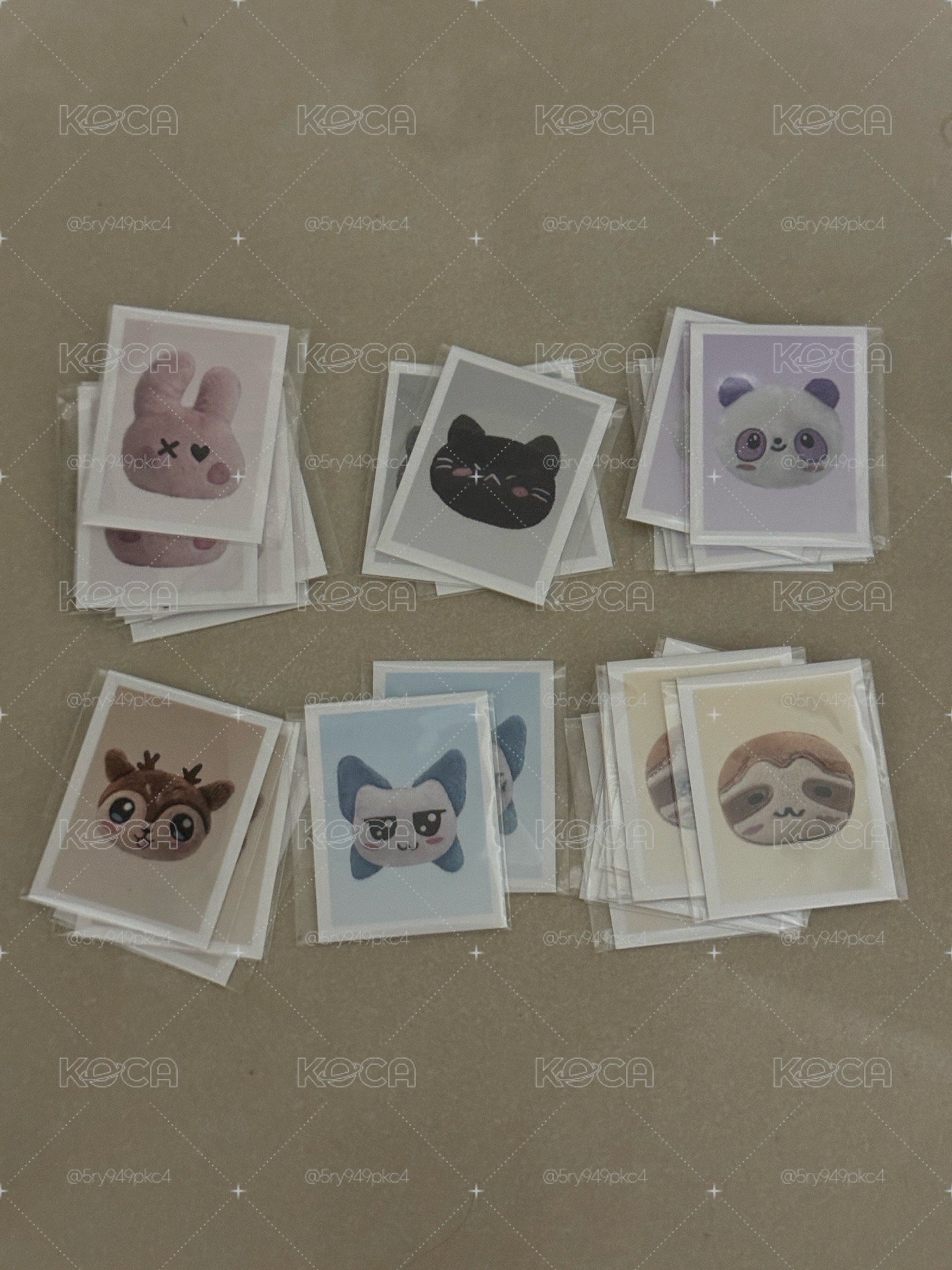 寶怪世巡遊戲展位證件照