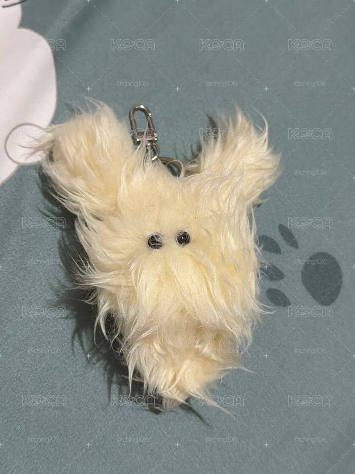 吳海嫄掉的小水母