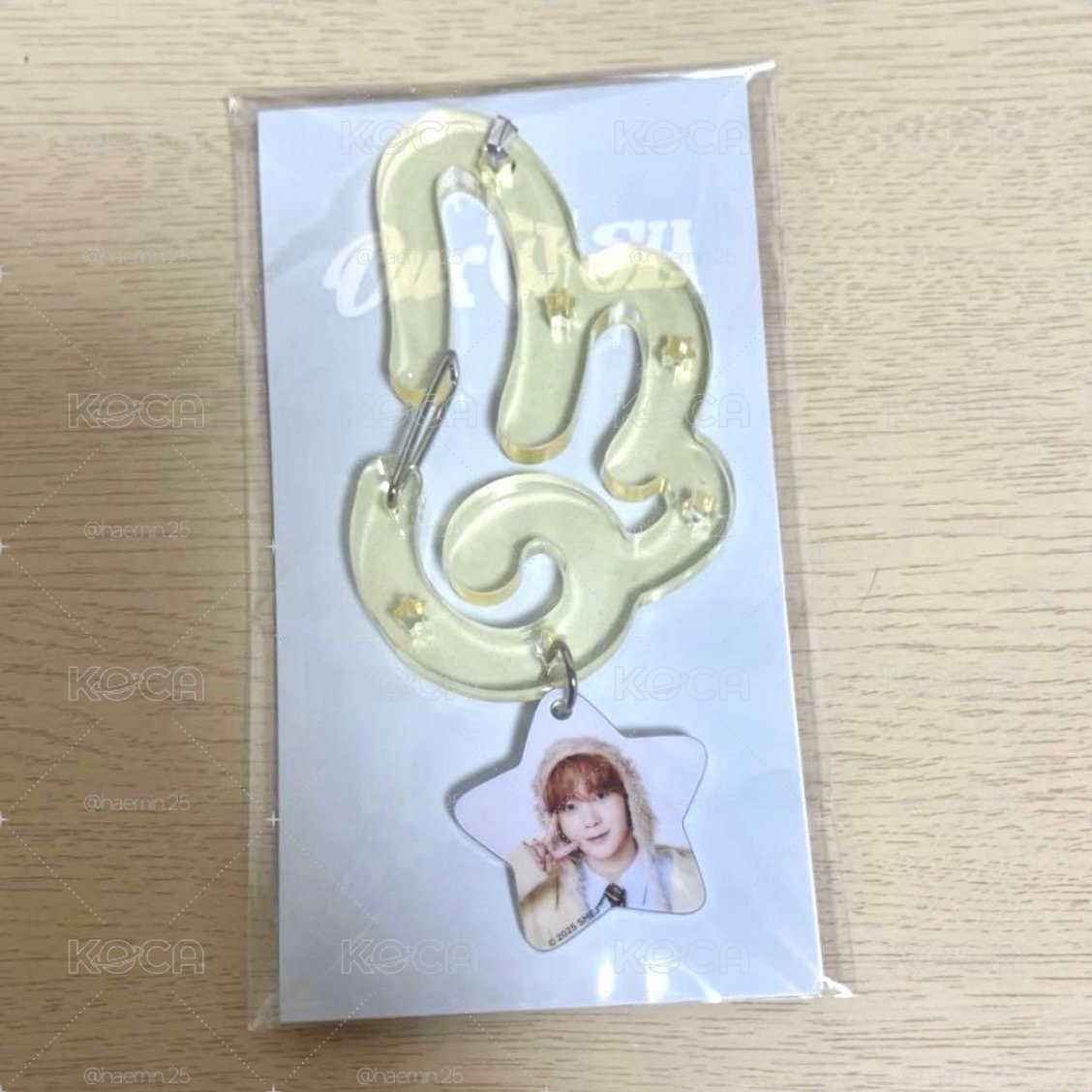 【現貨】遼 日巡翅膀登山扣 全新未拆