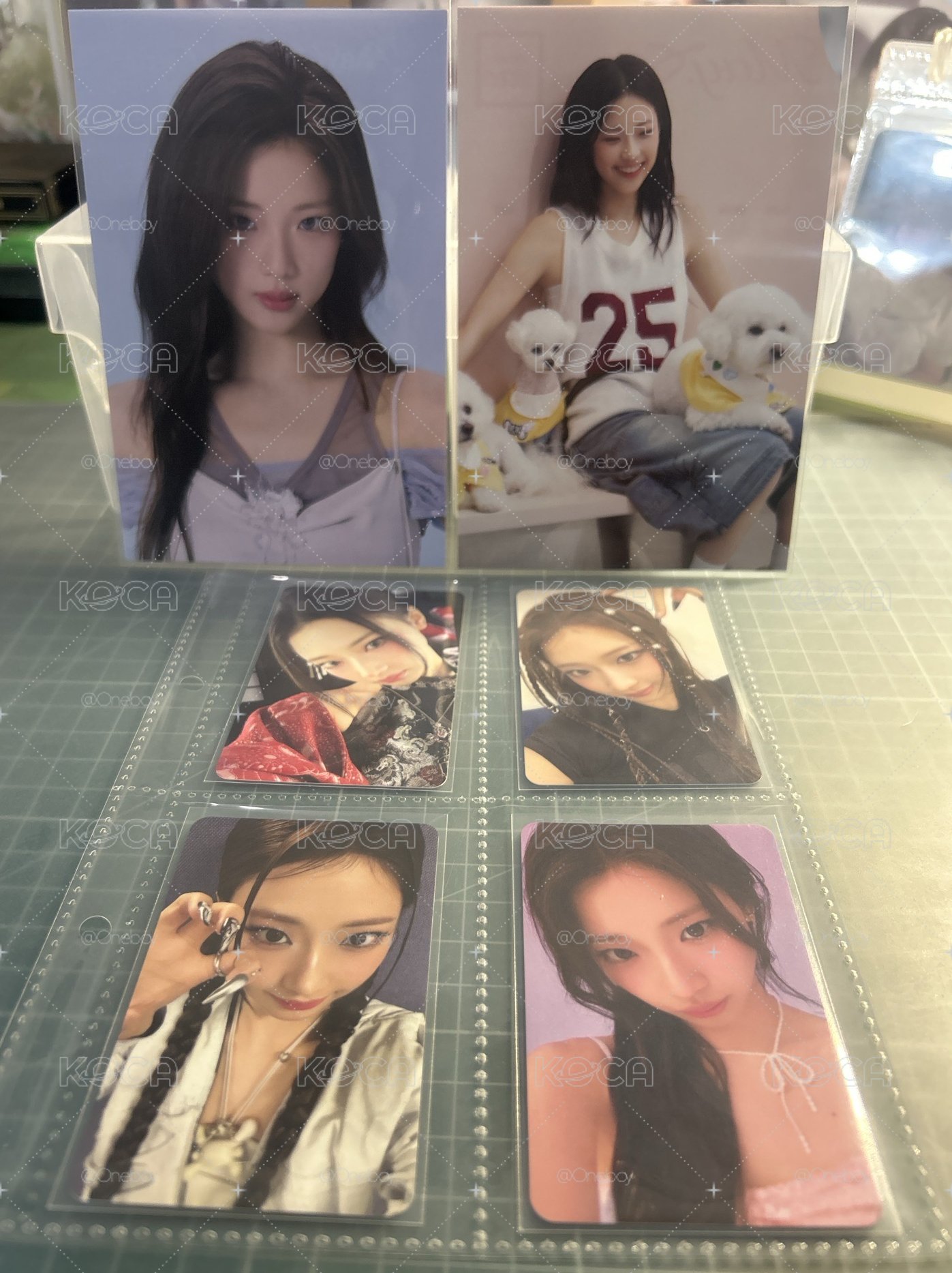 寶怪兩週年 明信片+小卡*4