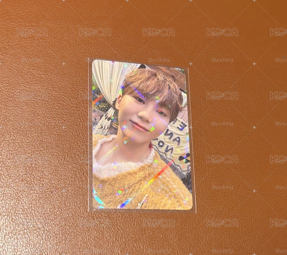 迷11 寛日咖 carat ver