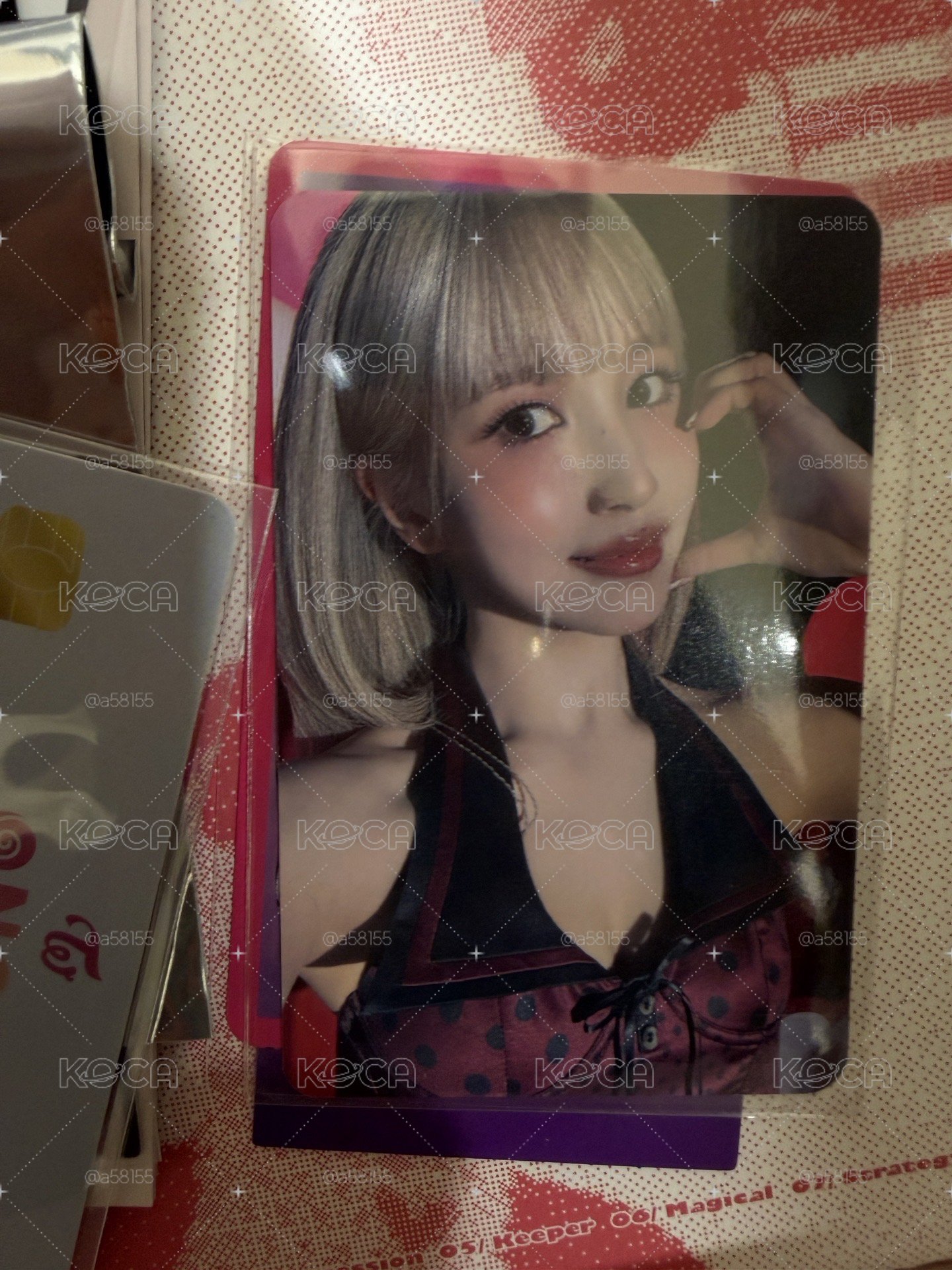 BDM南