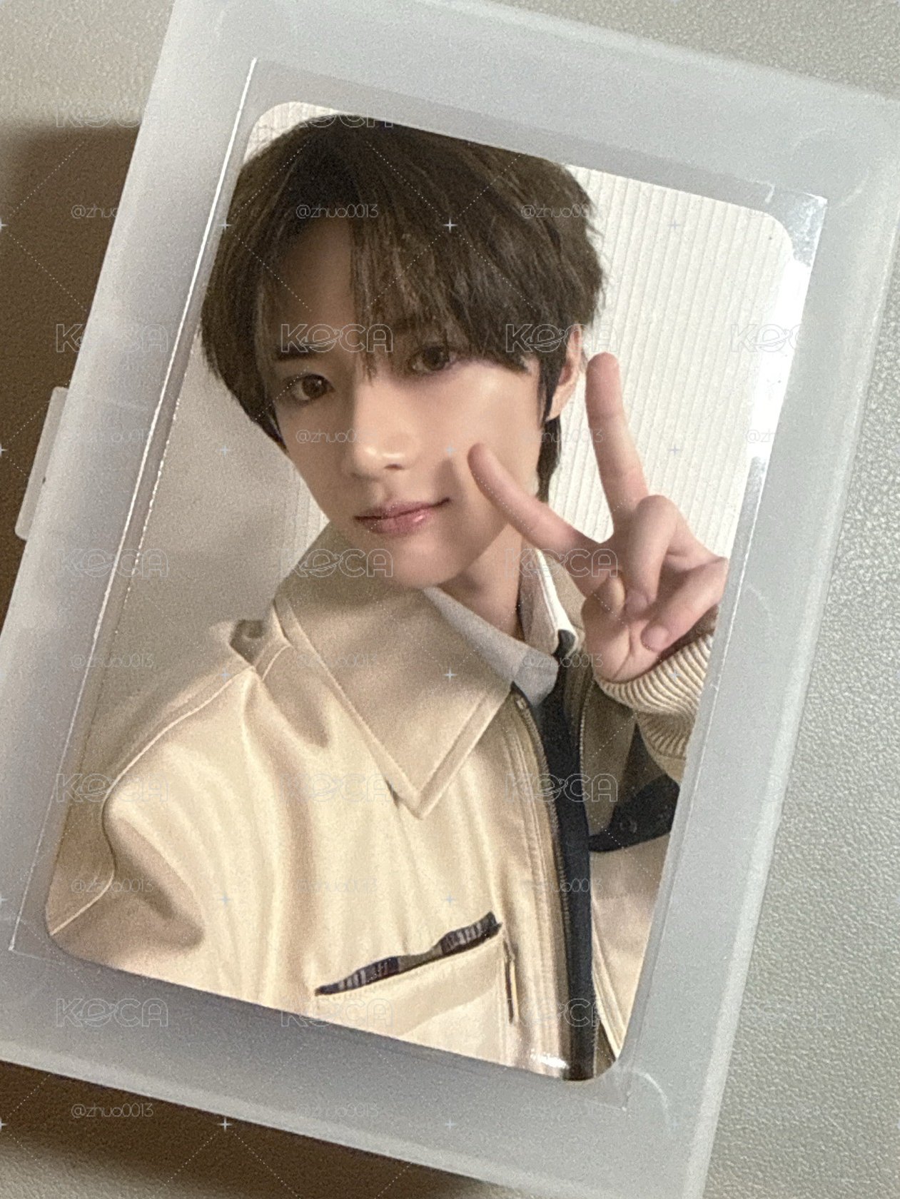 萌萌小狗