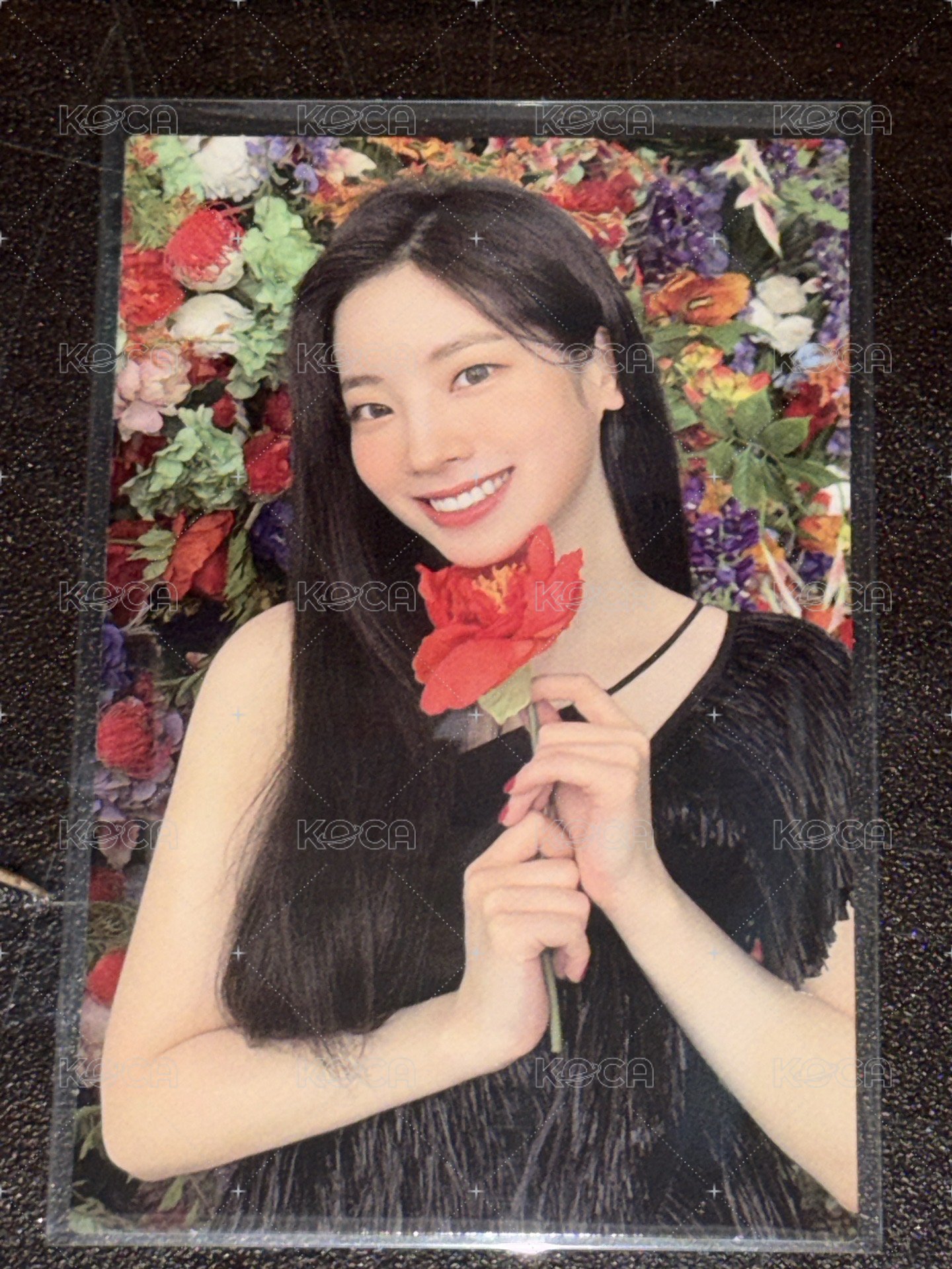 正規二 豆