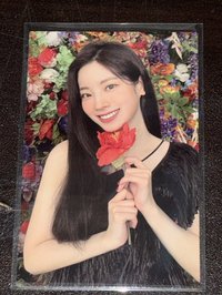 正規二 豆