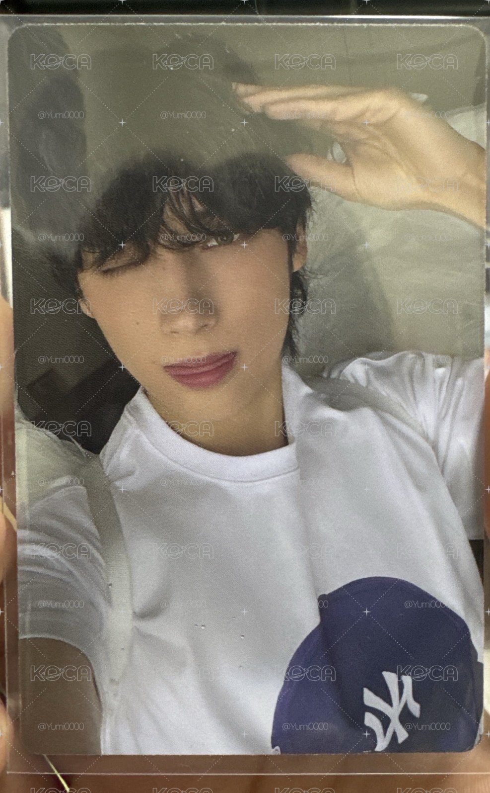 小狗耳朵寧
