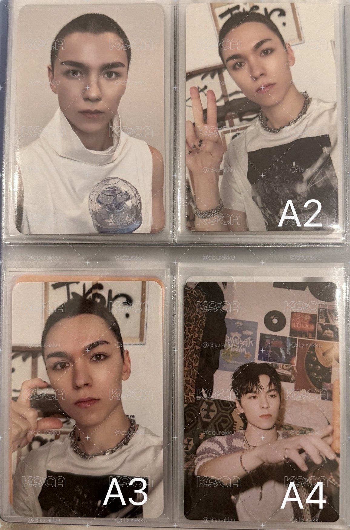 Vernon 卡