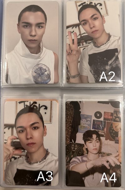 Vernon 卡
