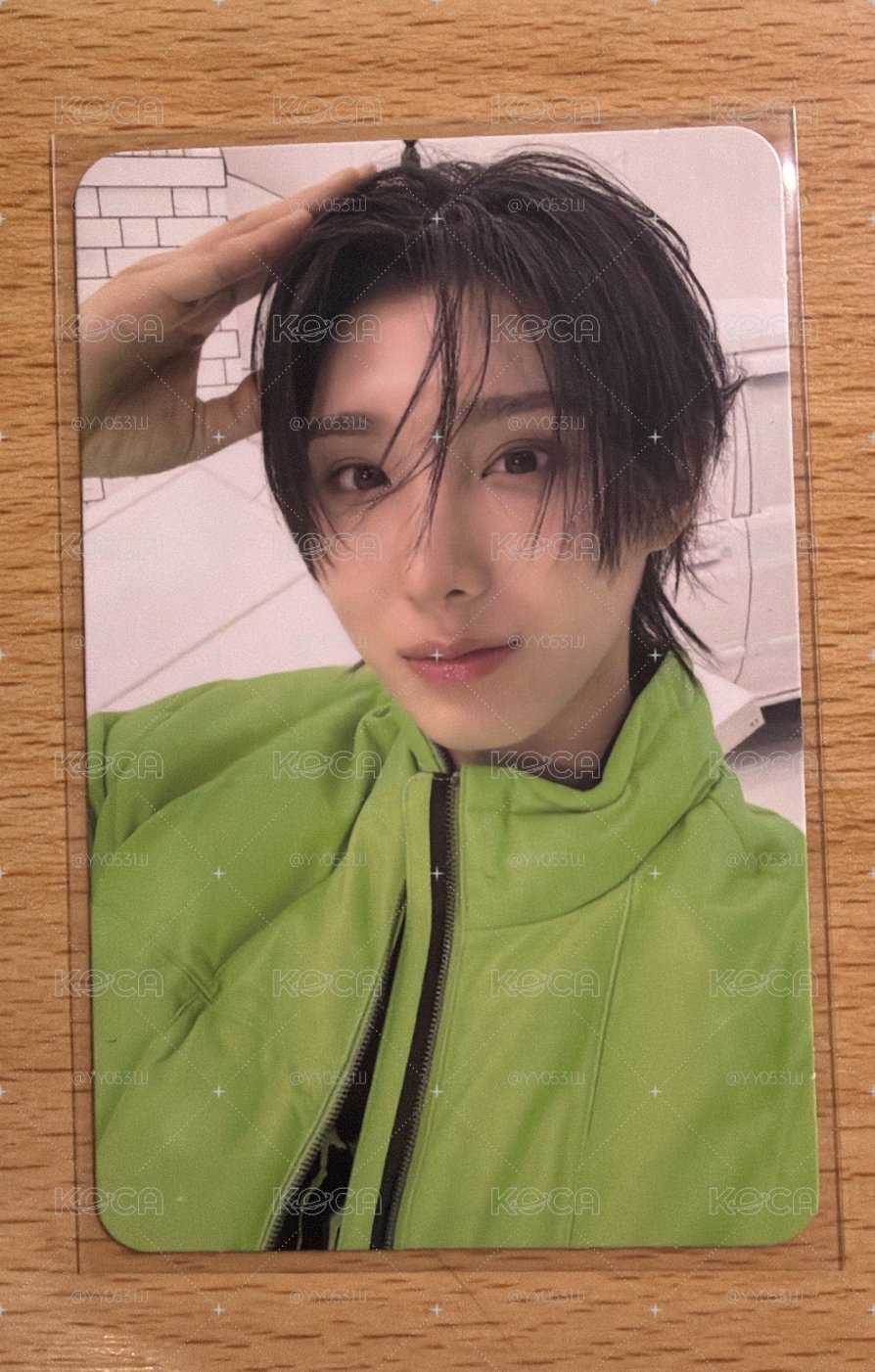 主汪 狗耳小卡