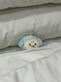 好吃地瓜球