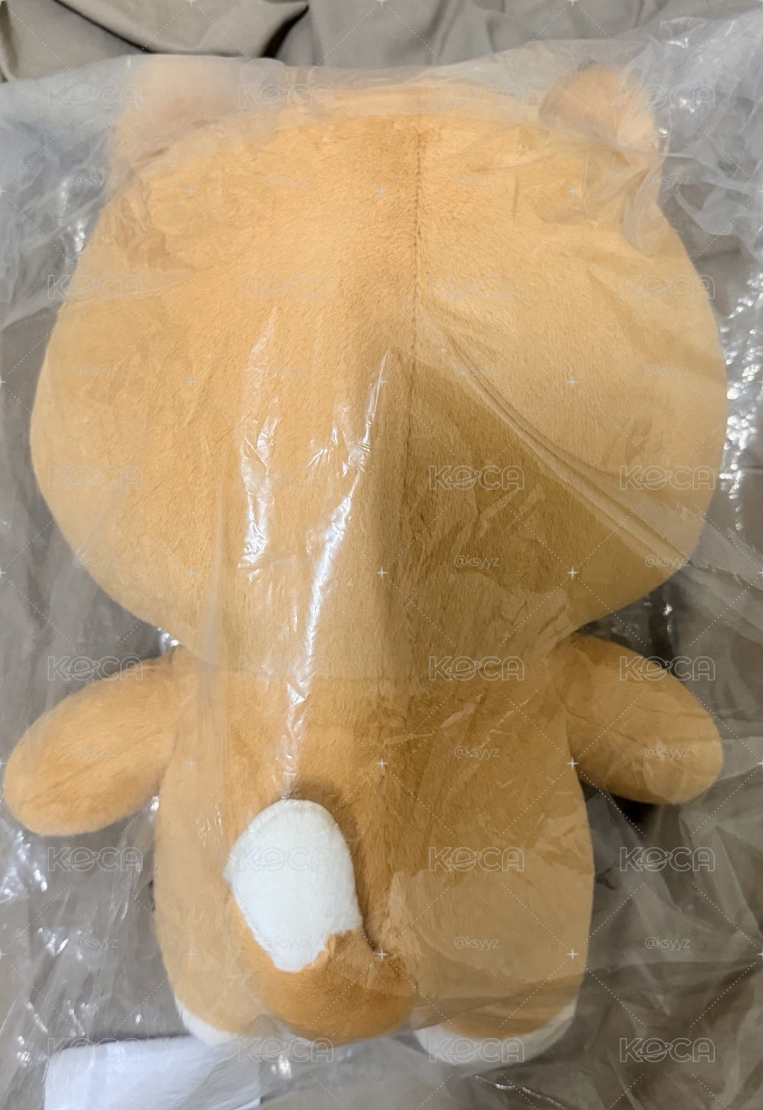 25 🦊巨娃 現貨