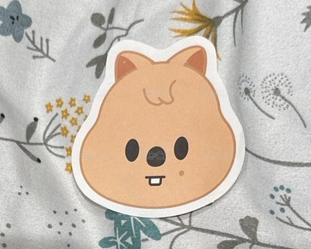 城彩花