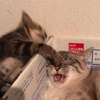 你後面有車