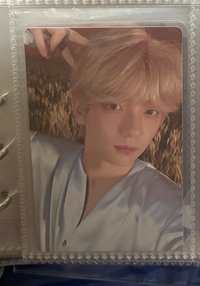 ❤️貓耳彬