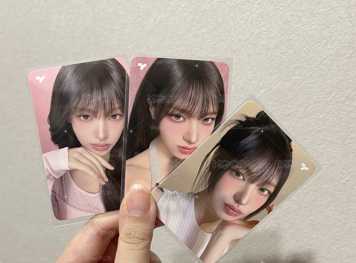 Liz 代言卡一套