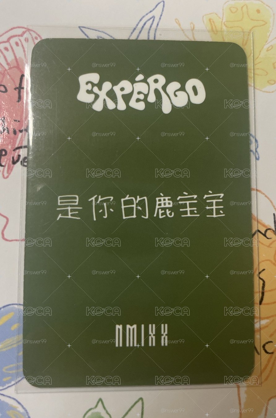 薛 中文卡背