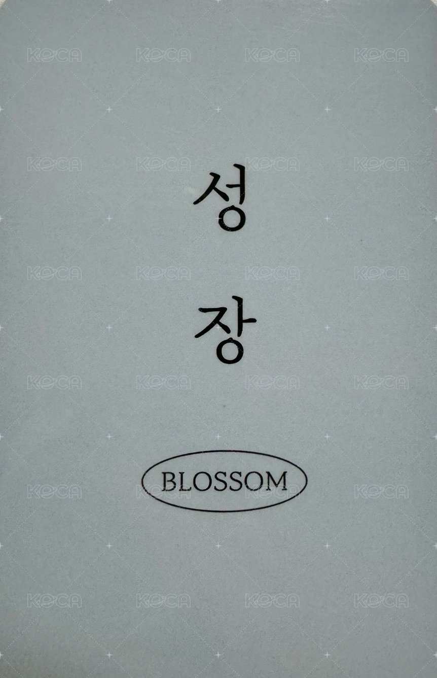 Blossom mp 幸運卡  背面