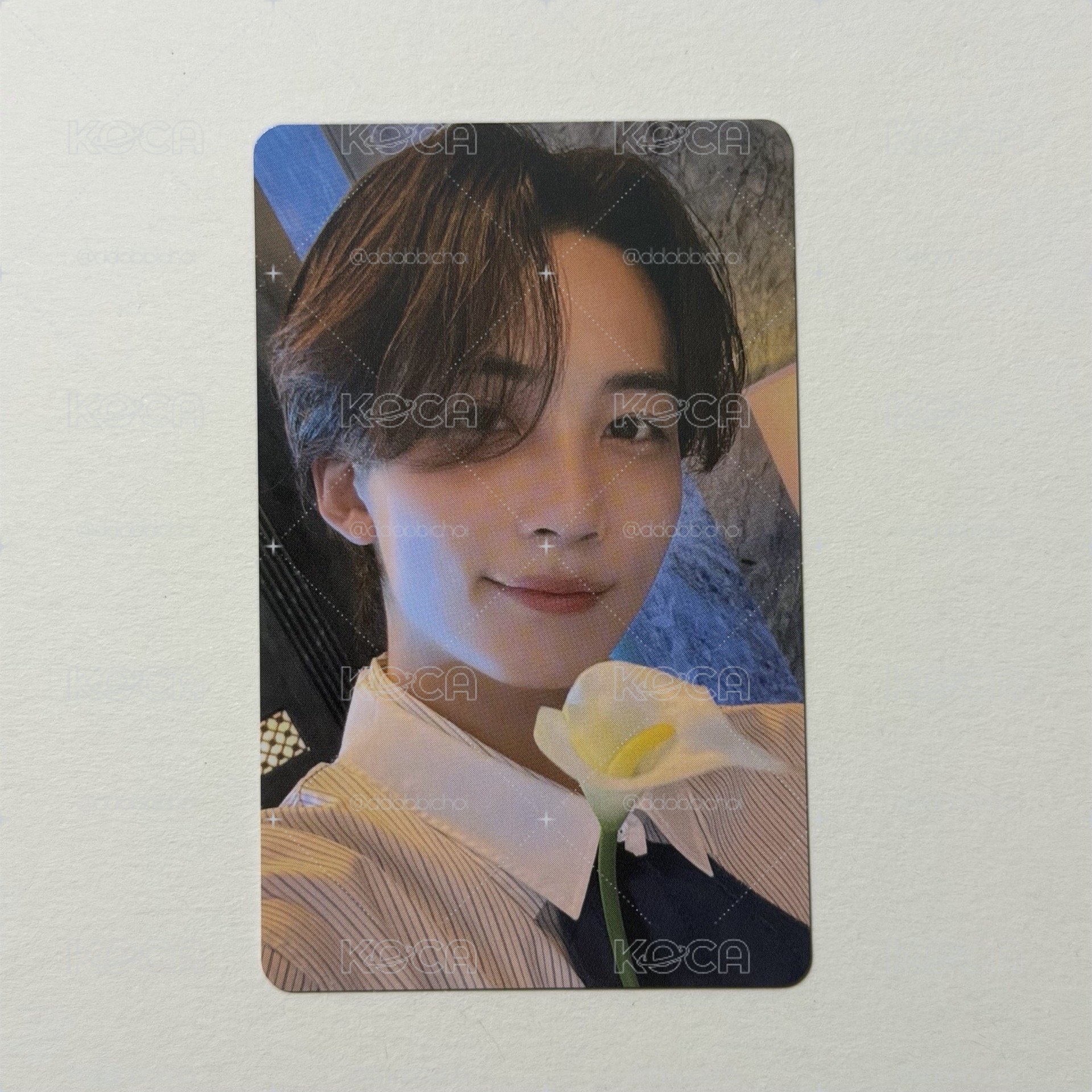 👼🏻JEONGHAN DREAM 東京 入場卡 / 場限卡 