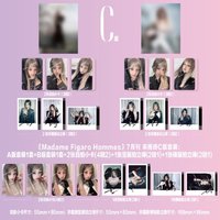 男士費加羅 C版