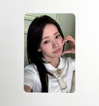 茶