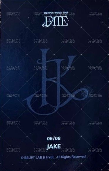 FATE世巡 隨機卡 06/08 背面