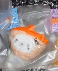 口袋娃奶茶貓未拆