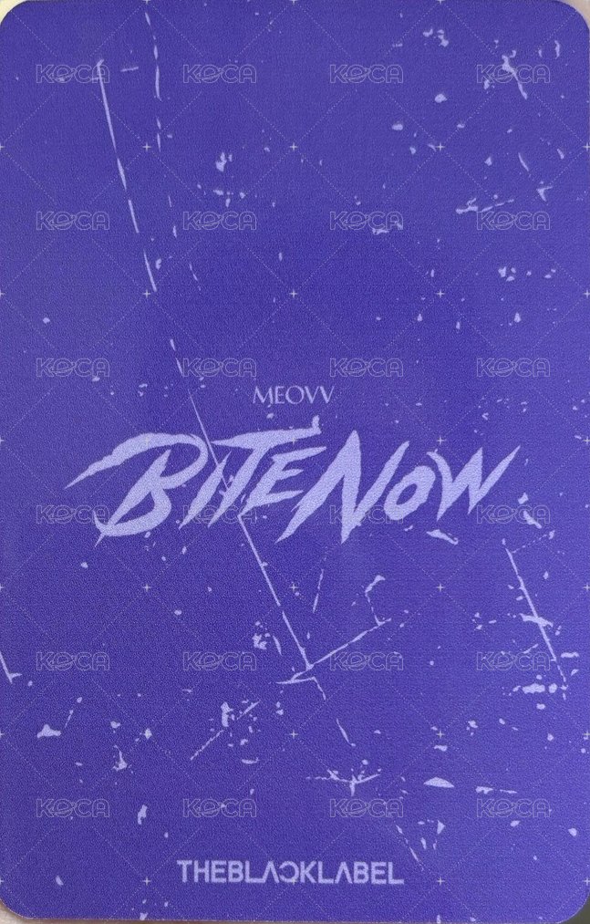 BITE NOW 台北快閃 滿額卡  背面