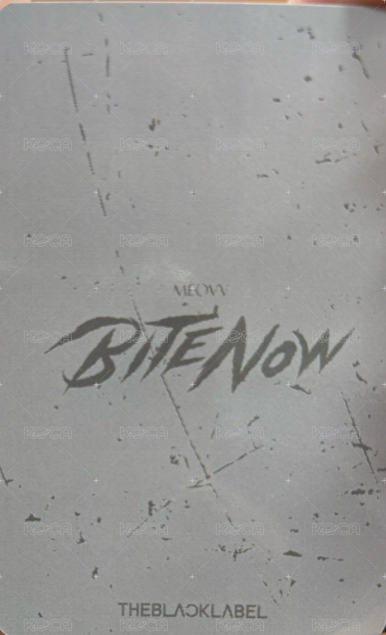 BITE NOW 台北快閃 滿額卡  背面