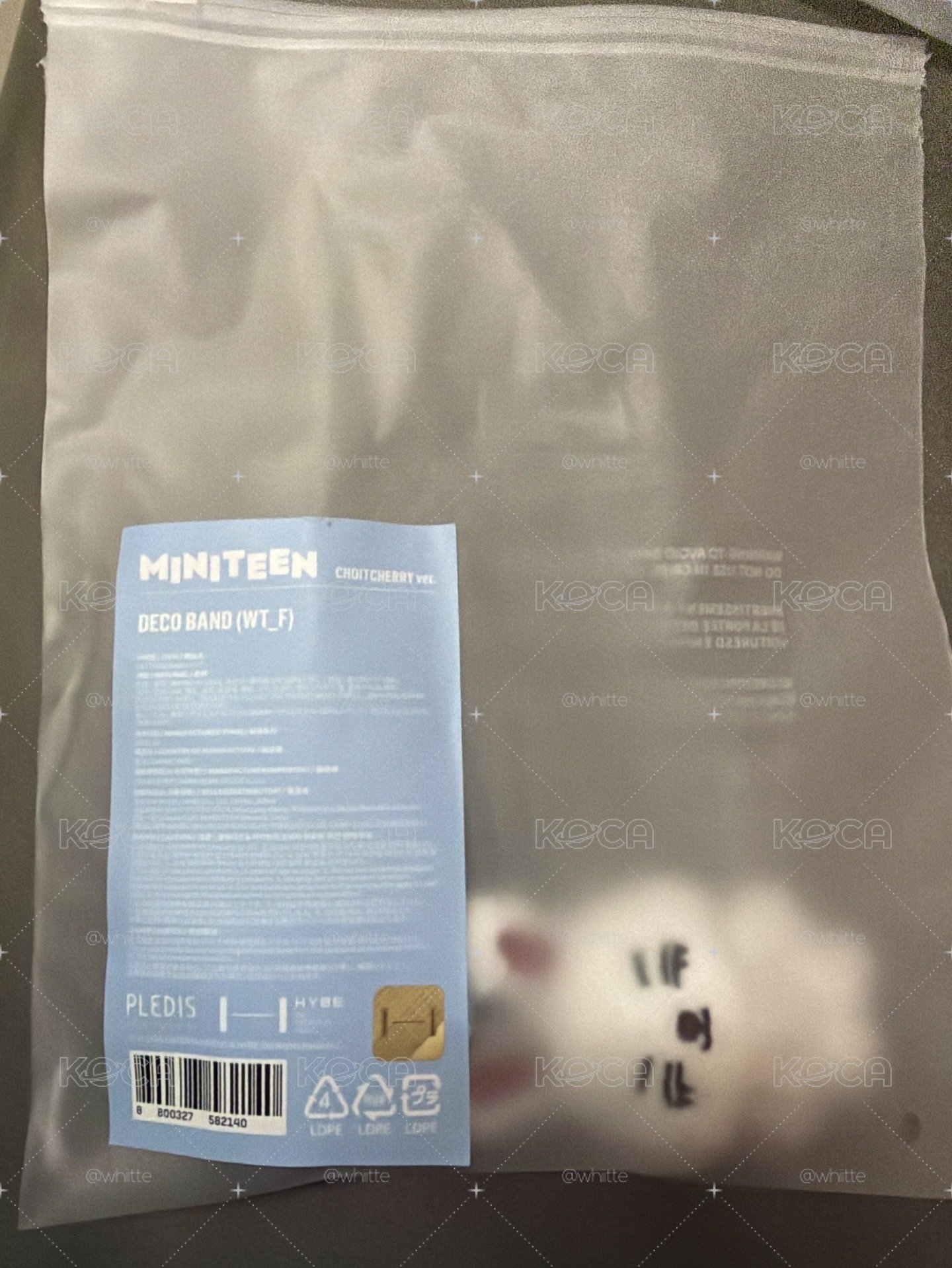 手燈環 哲奎 直出
