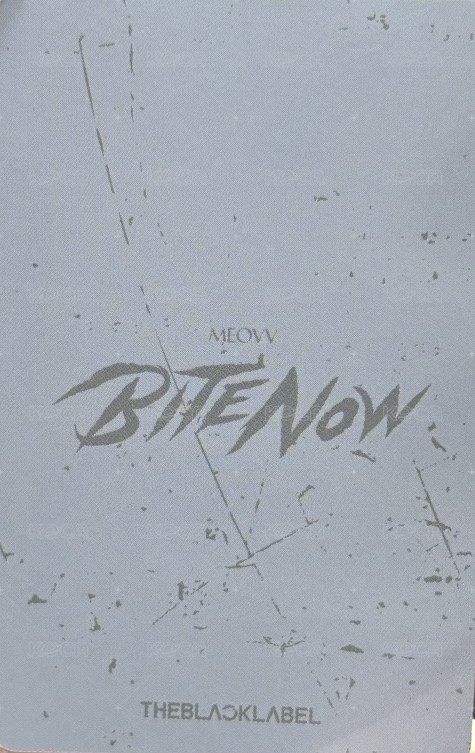 BITE NOW 滑鼠墊 周邊卡  背面