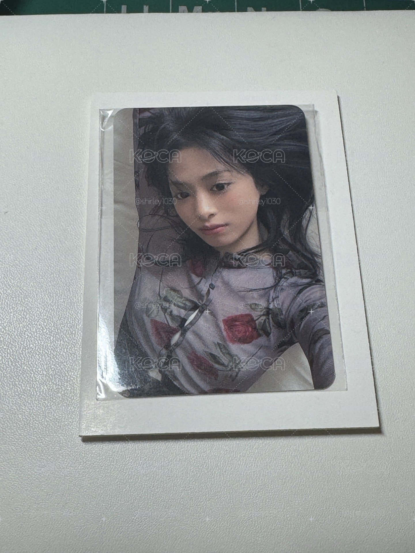 玫瑰賢🌹