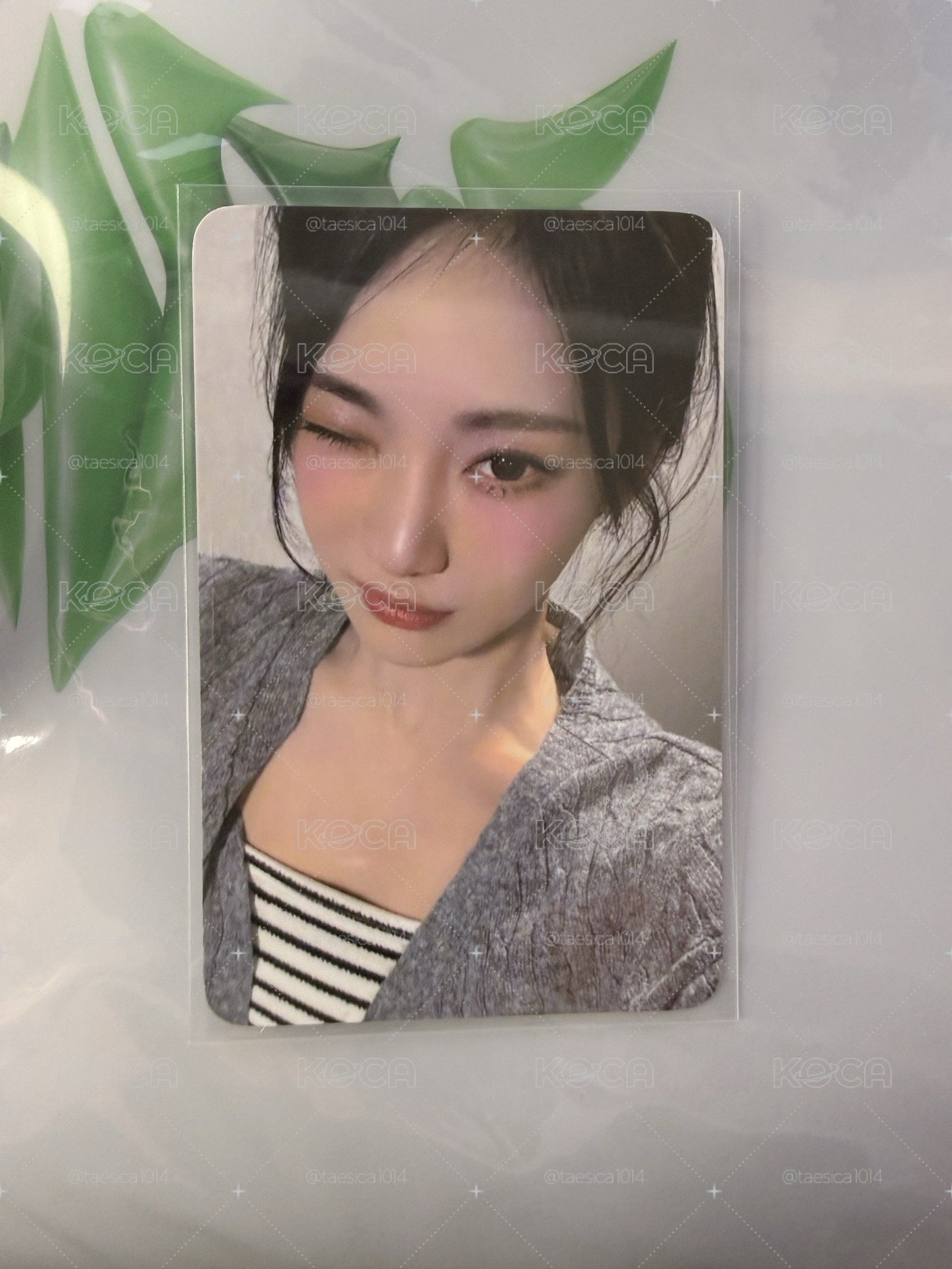 迷你五 EL簽售寧