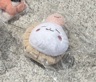 盿琦生日娃2026ver