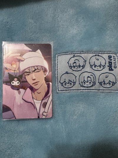 PLAVE銀虎❤️