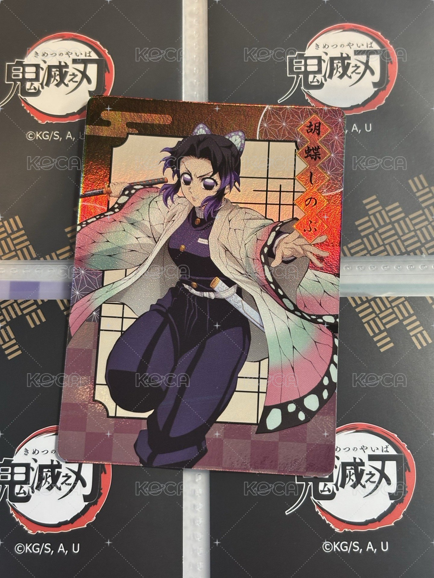 忍全身