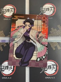 忍全身