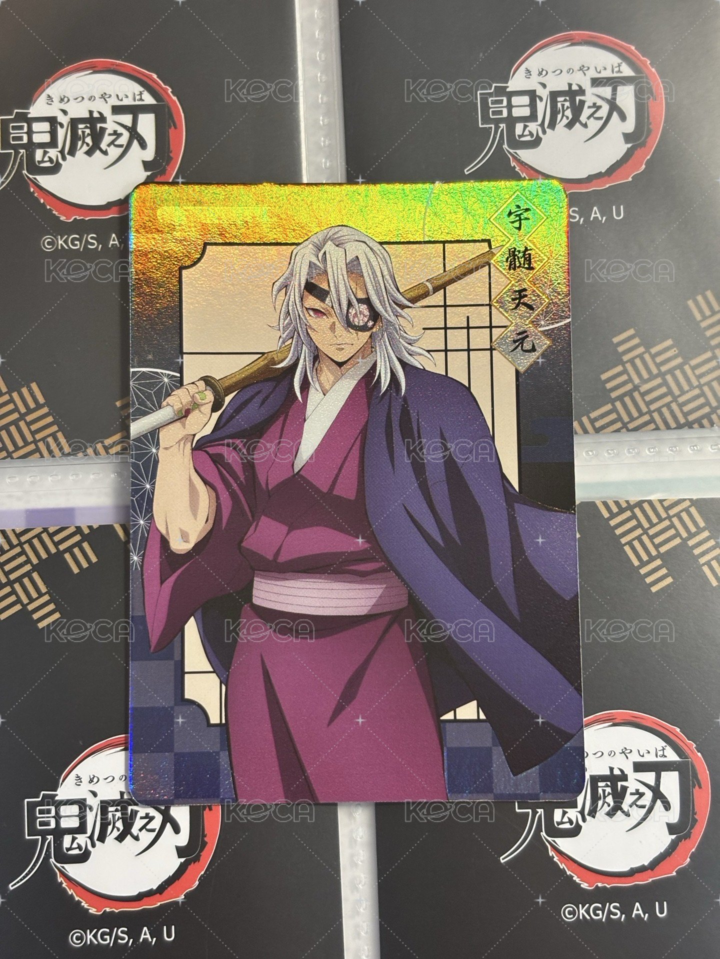天元全身