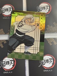 實彌全身