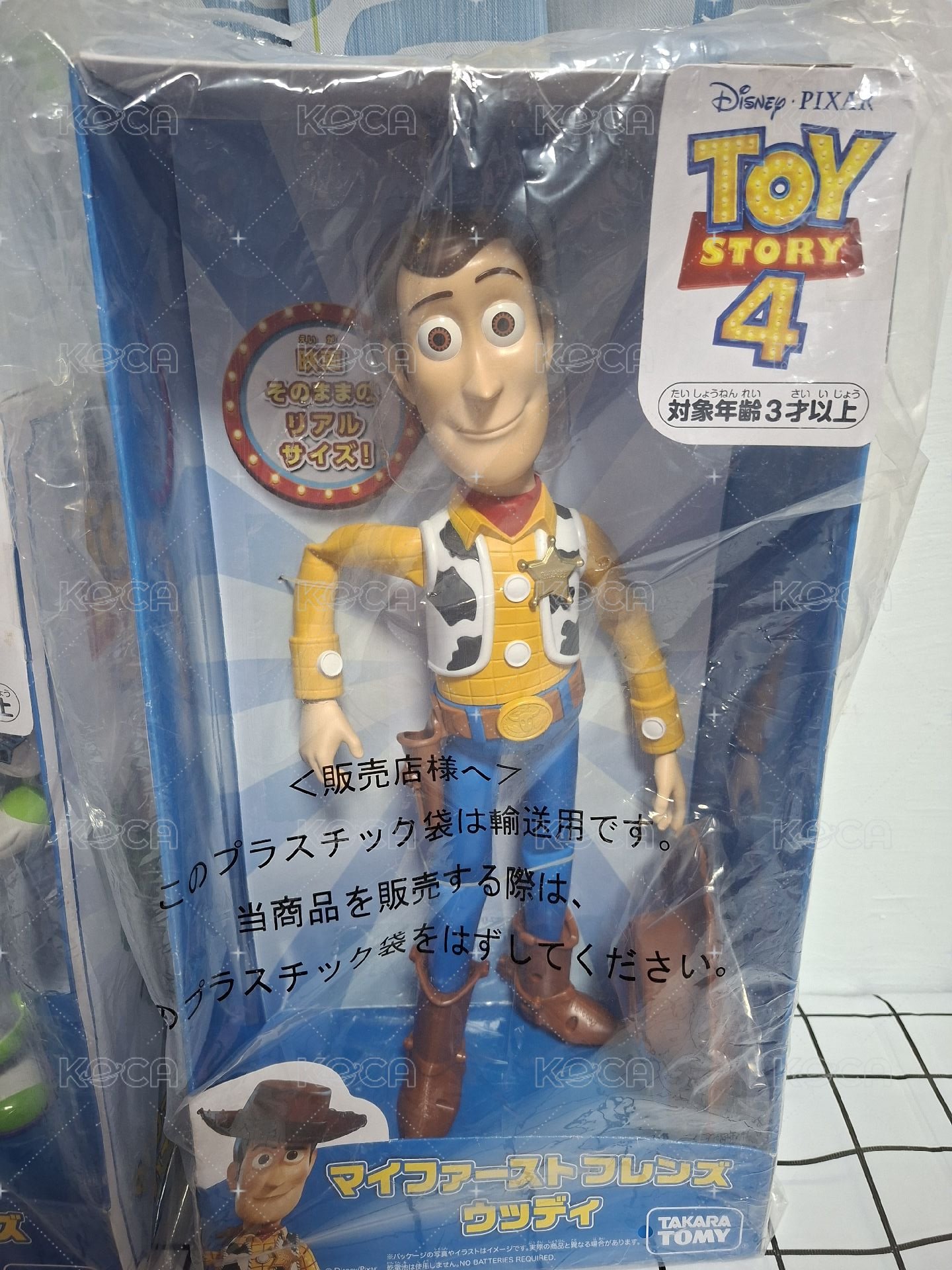 胡迪