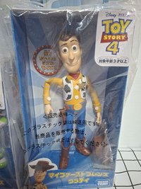 胡迪