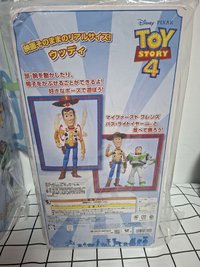 胡迪