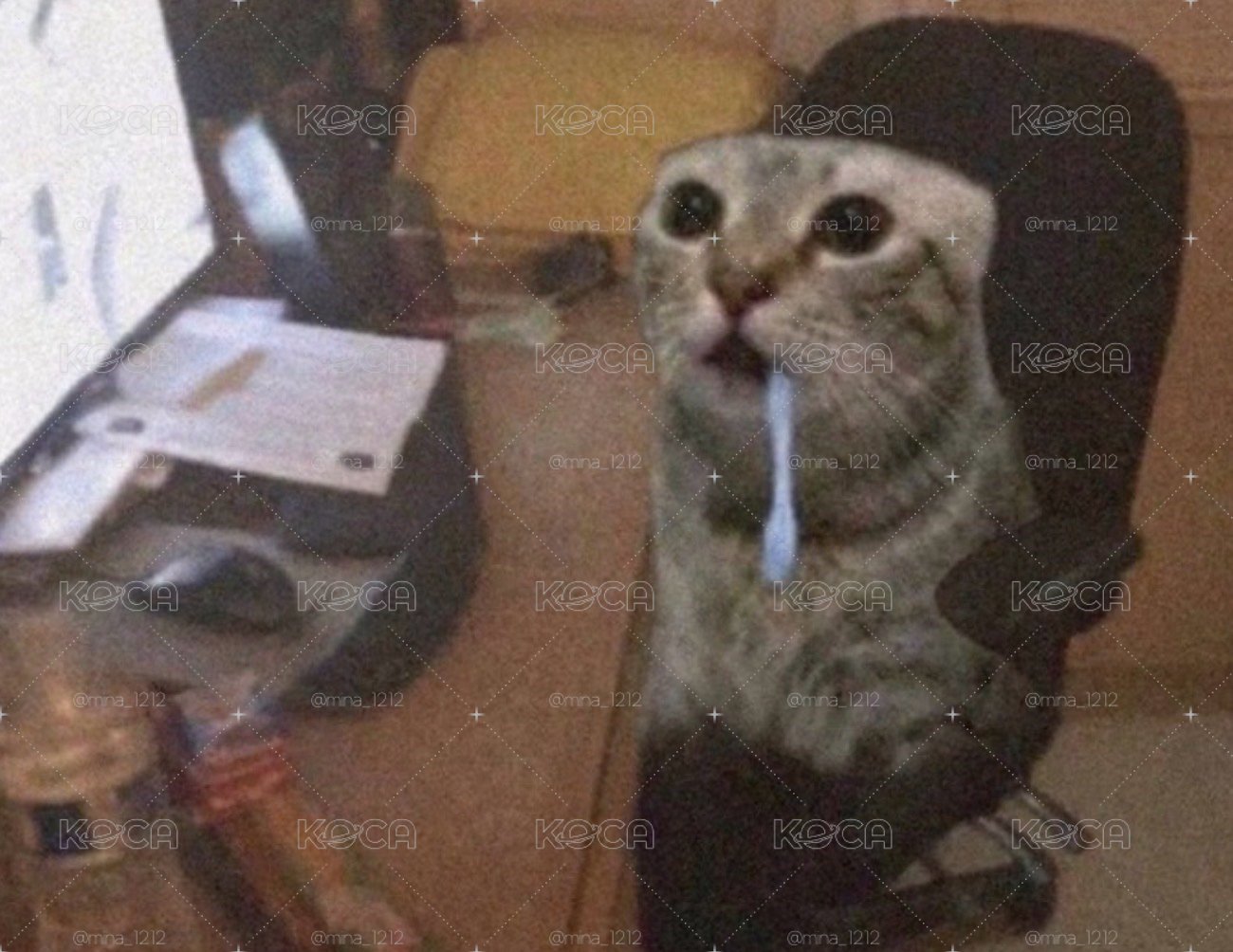 回購禮