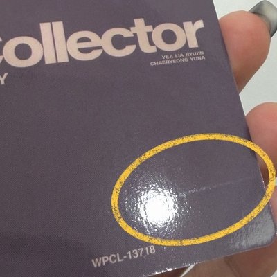 日專 collector 領全專