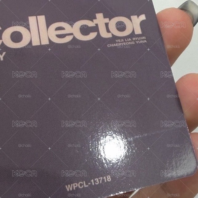 日專 collector 領全專