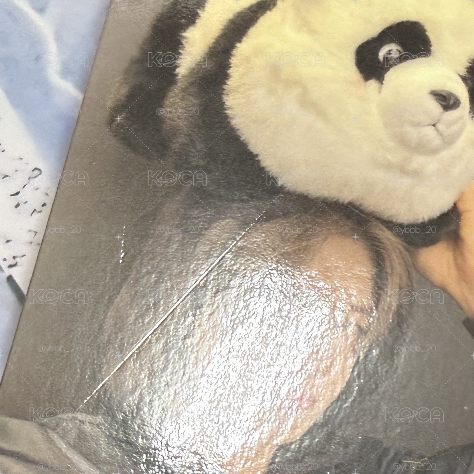 迷八yzy限定特典 竣