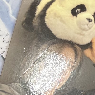 迷八yzy限定特典 竣