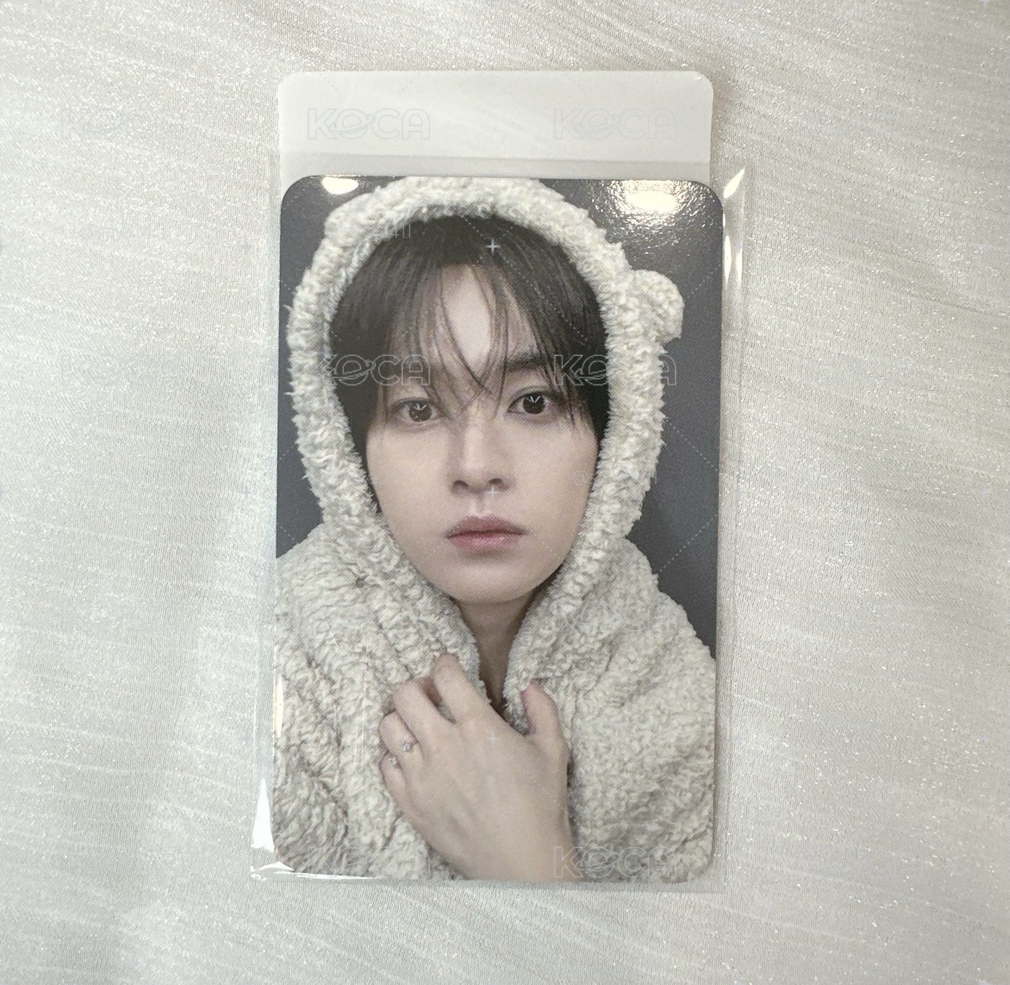 fans 小熊旻